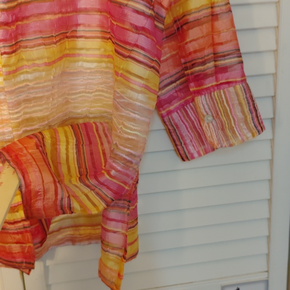 Kim Rogers Multicolor Striped Button-Down Shirt - Picture 4 of 5